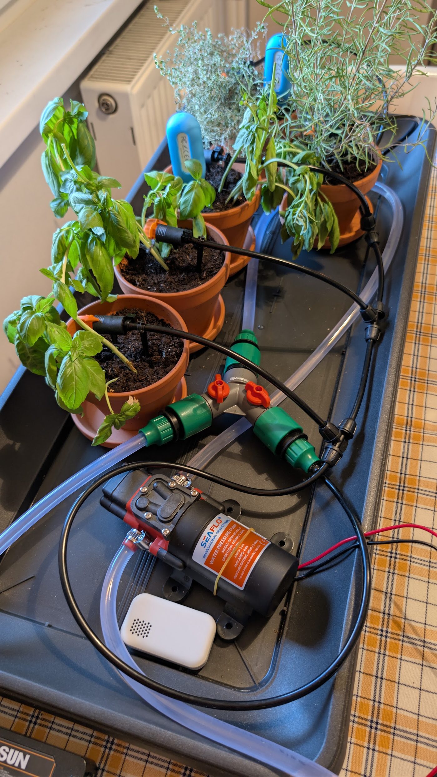 A plastic tray on a kitchen counter: a small diaphragm pump, clear tubing to a two-way garden splitter, thin black drip lines running into pots of basil, thyme and rosemary, soil probes in the pots, and a white leak sensor lying in the tray